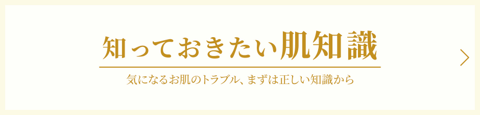 知っておきたい肌知識 気になるお肌のトラブル、まずは正しい知識から