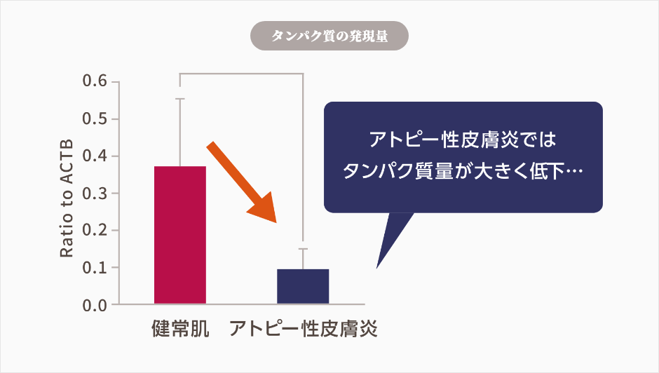 タンパク質の発現量