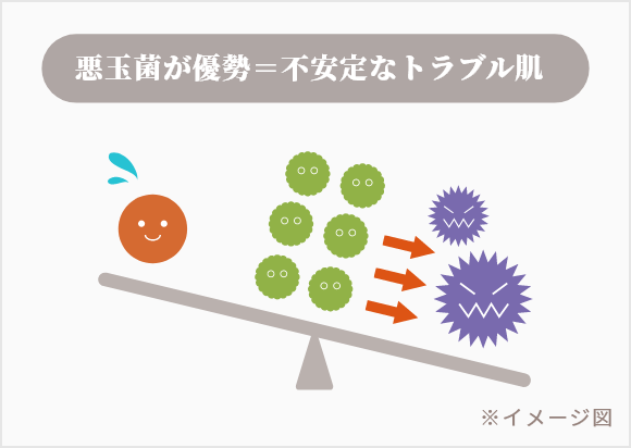 悪玉菌が優勢＝不安定なトラブル肌