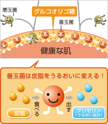 グルコオリゴ糖