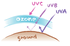 地表に届くのはUVAとUVB